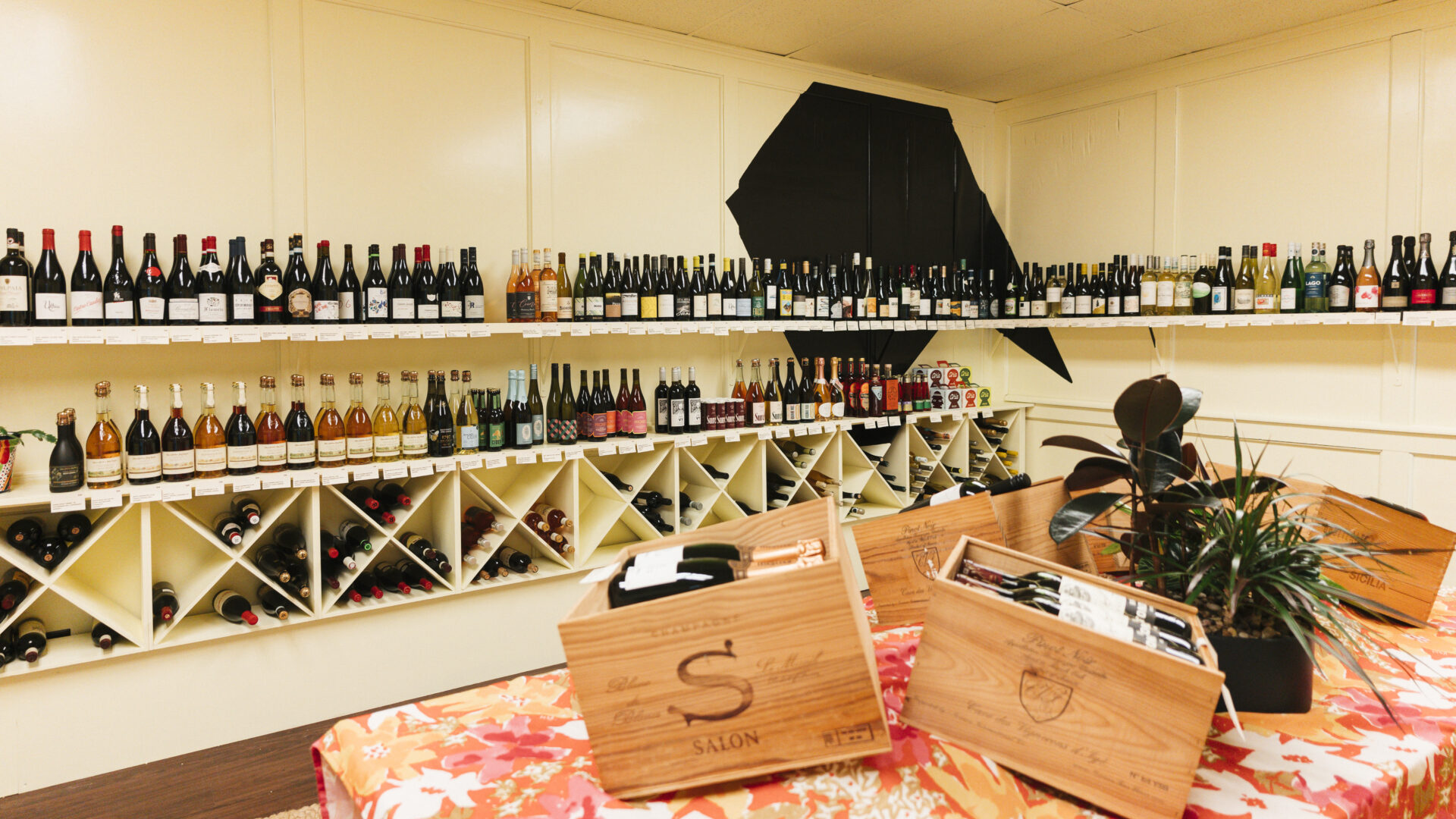 Hotvine Wine Shop fayetteville