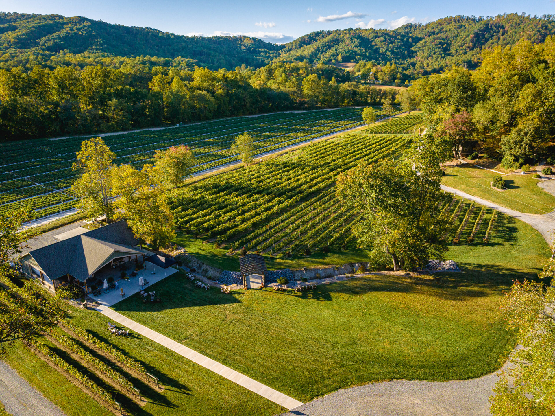 Souther Williams Vineyard October Drone Images ()