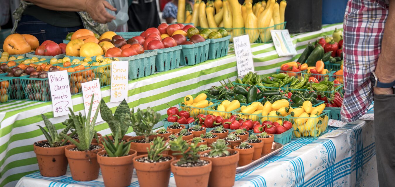 Sunset on the Square Farmer's Market in Fayetteville AK