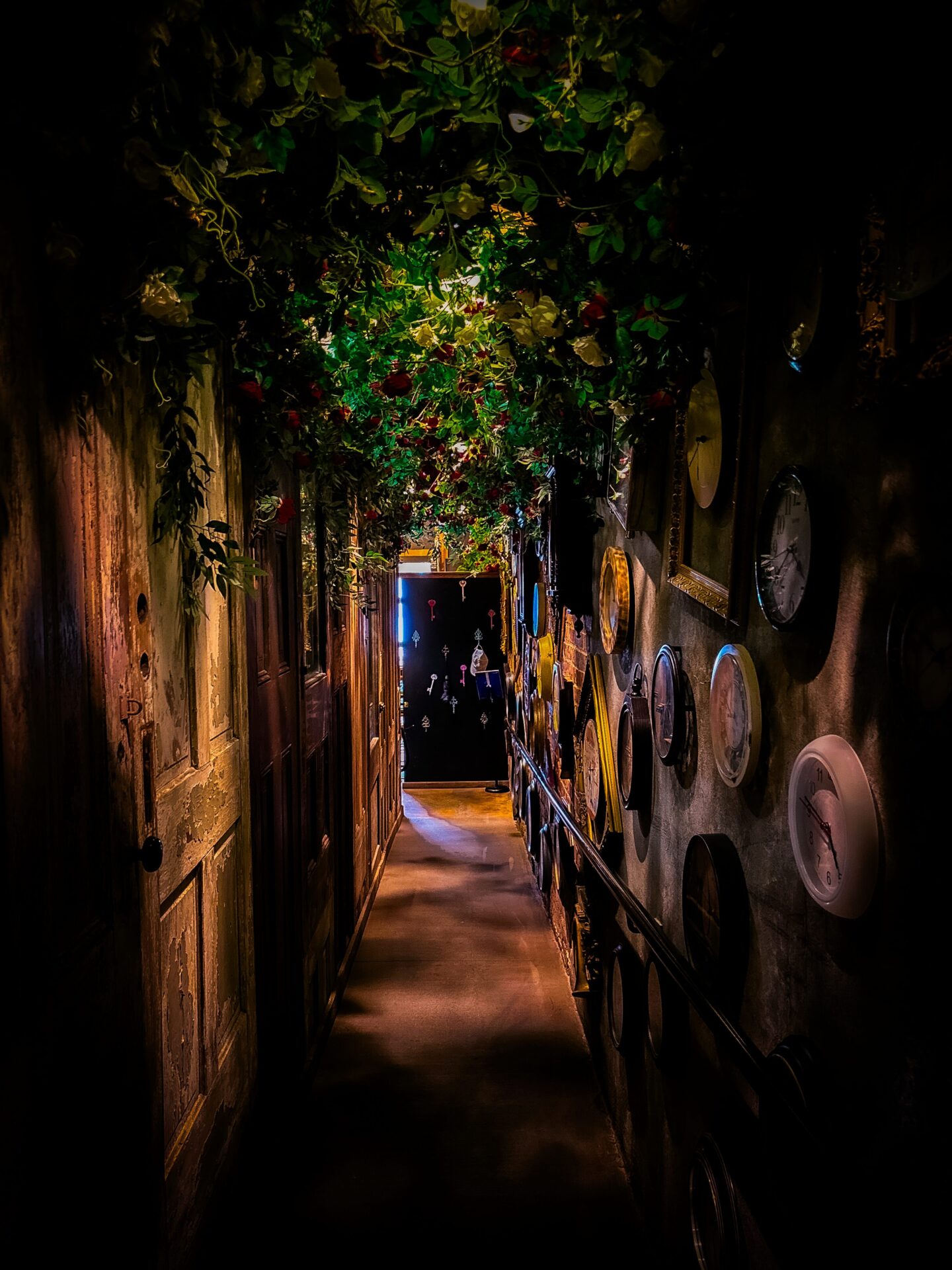 The Rabbit Hole, Greenville, South Carolina