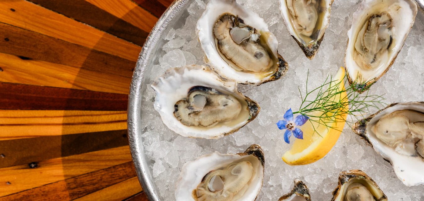 Wilmington oysters image courtesy of Sydney Callis featured image