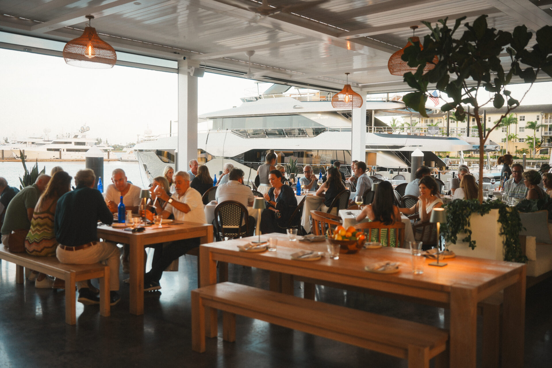 Lamarina ELEVATEDMEDIAFL