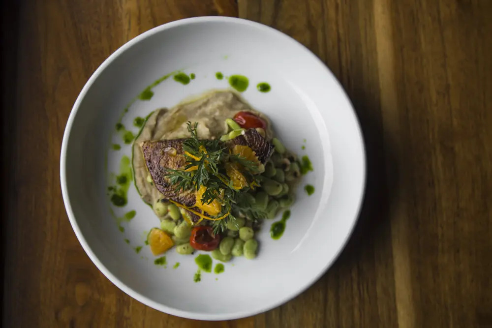 Motor Supply Co Dish jpg