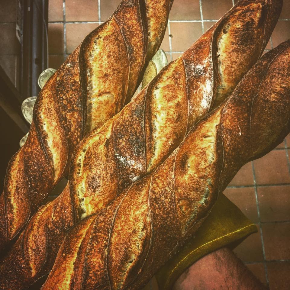 Paysan Baguette Bread Knoxville Tennessee