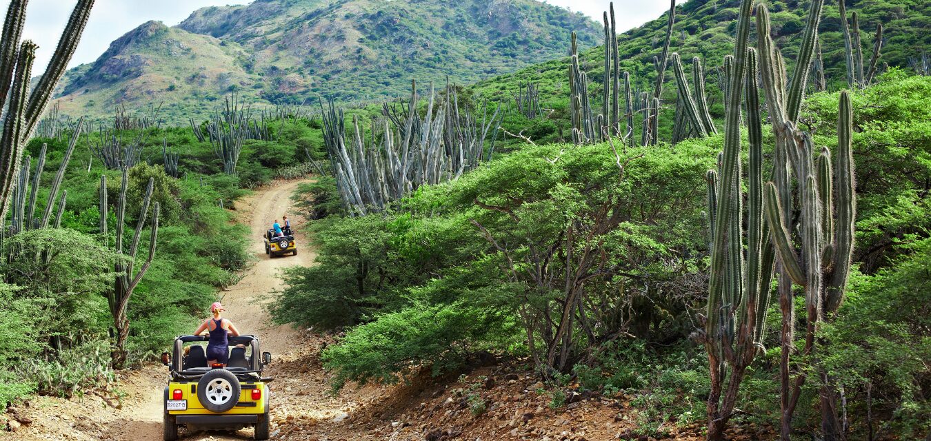 jeep tour washington park jpg