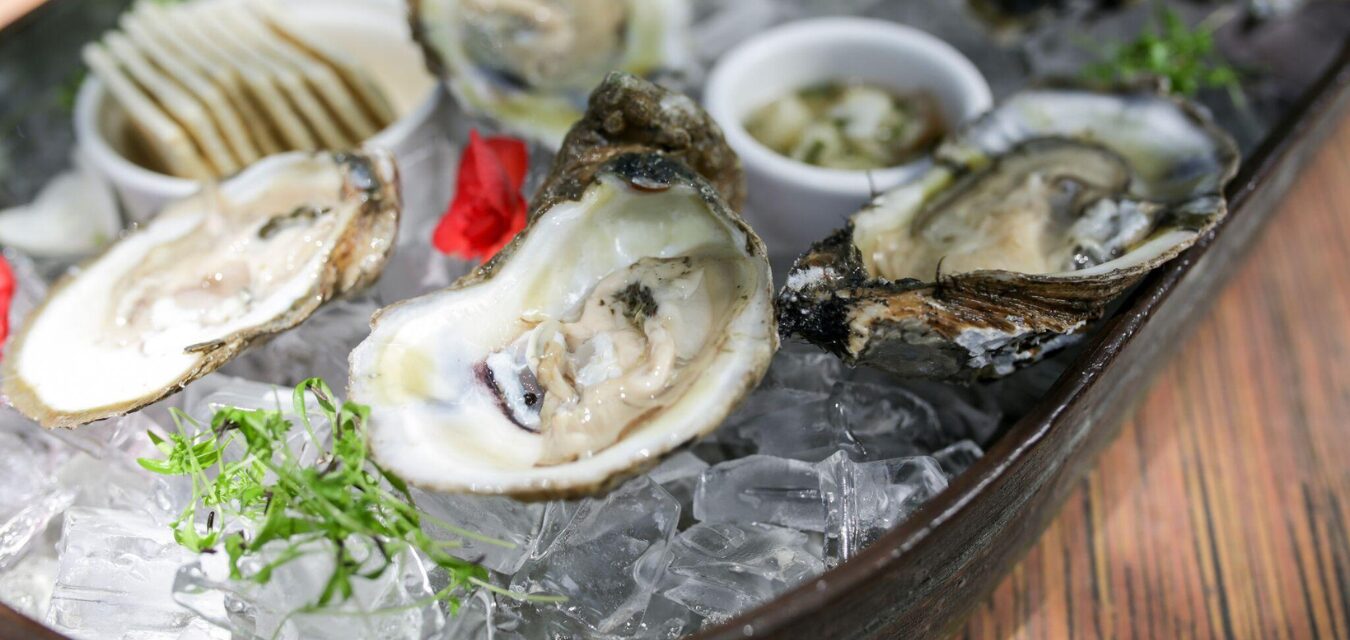oysters for National Oyster Day in Panama City Florida