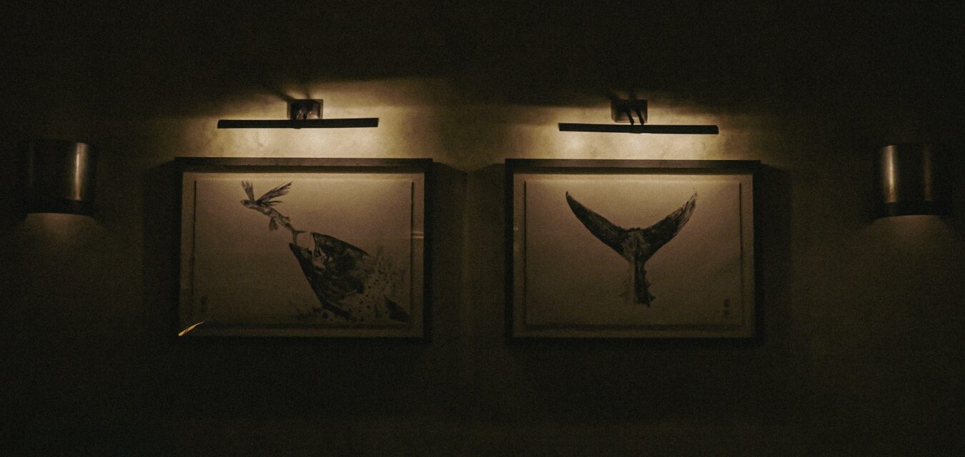 Interior Kasa x Noko Credit Mick Jacob