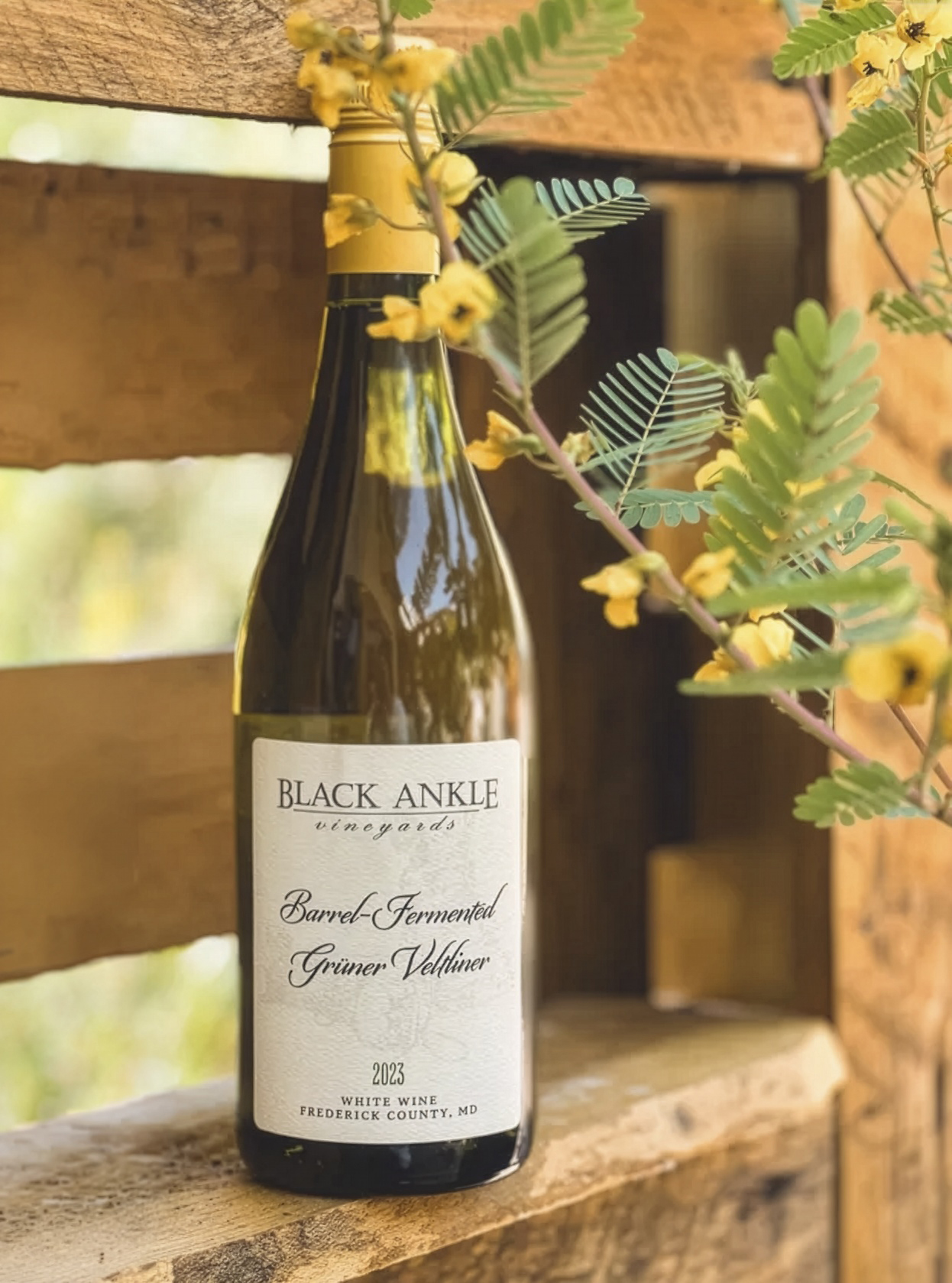 Black Ankle Vineyards