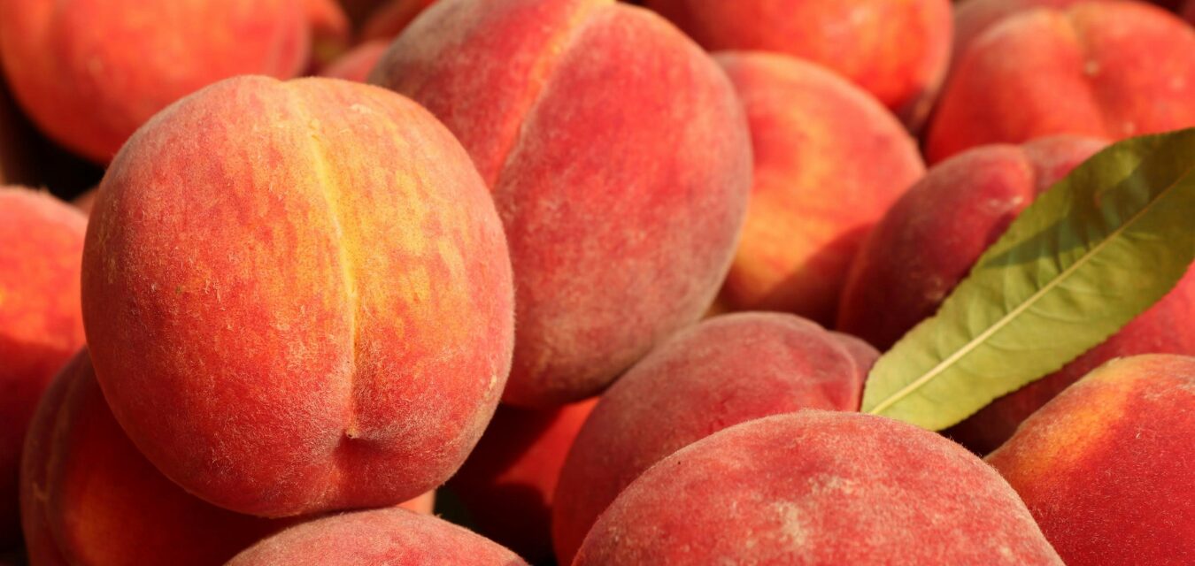 Peaches for peach week
