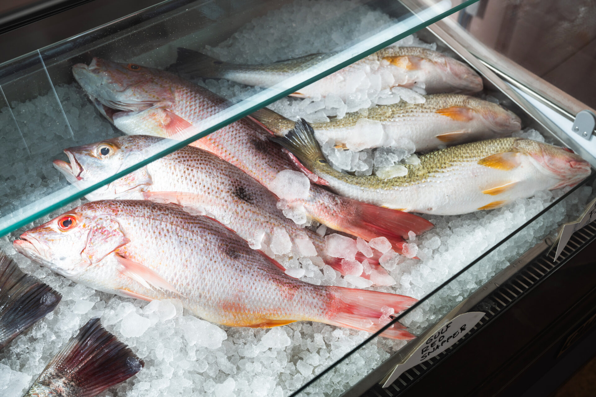 Porgys Seafood Market Image courtesy of James Collier for Paprika Studios