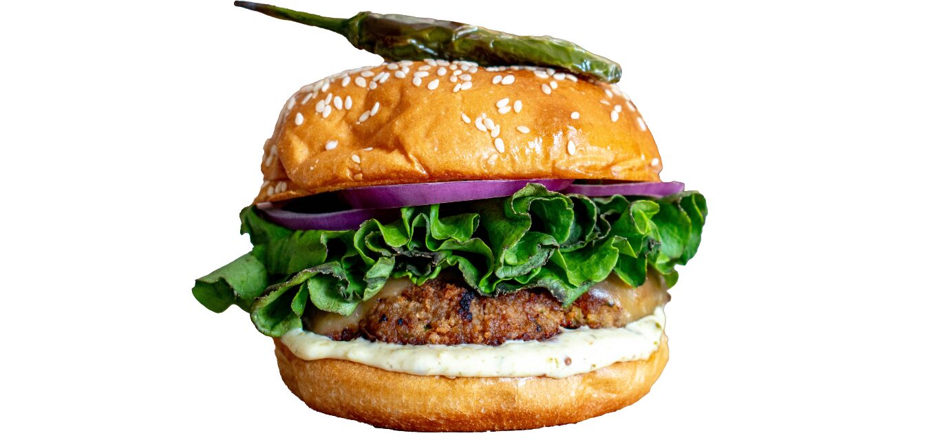 Shishito turkey burger