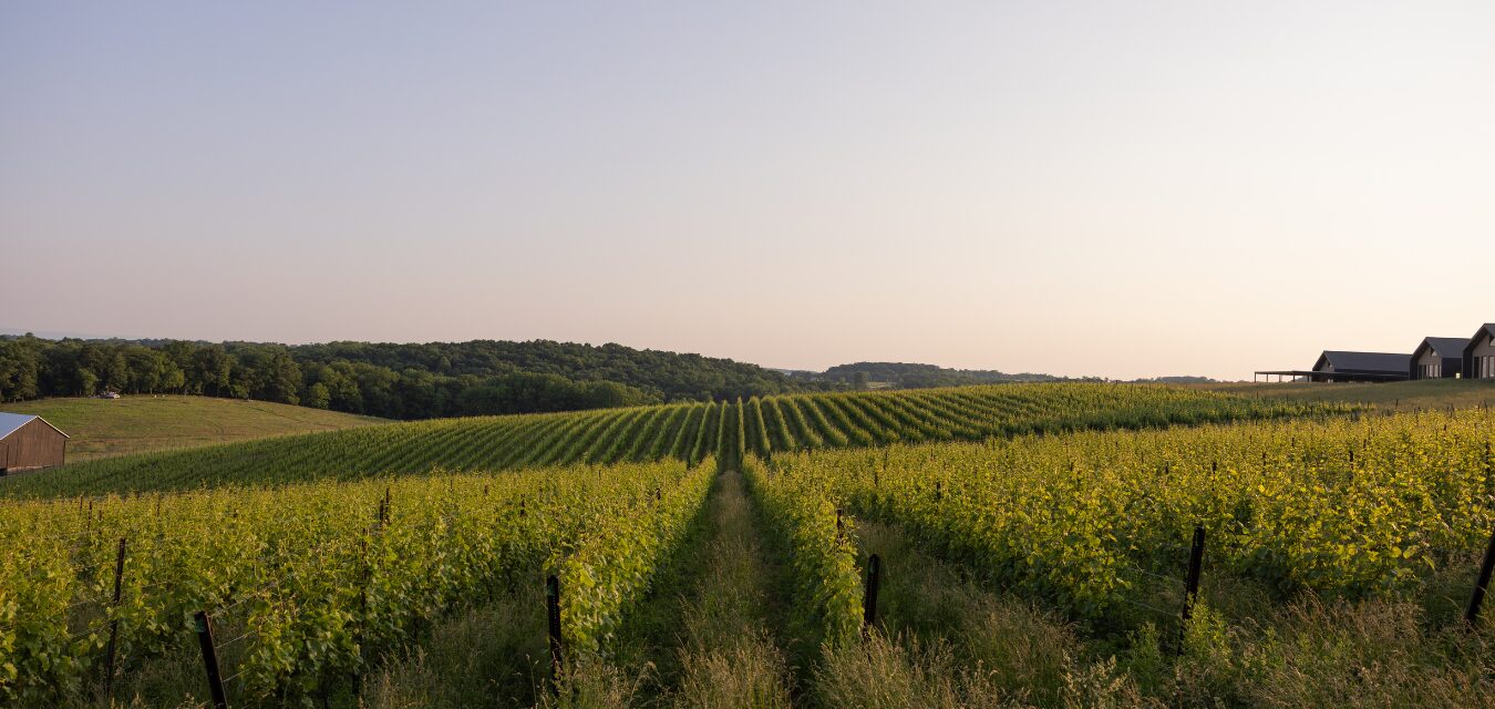 Burnt Hill Farm Credit Lindsey Plevyak jpg
