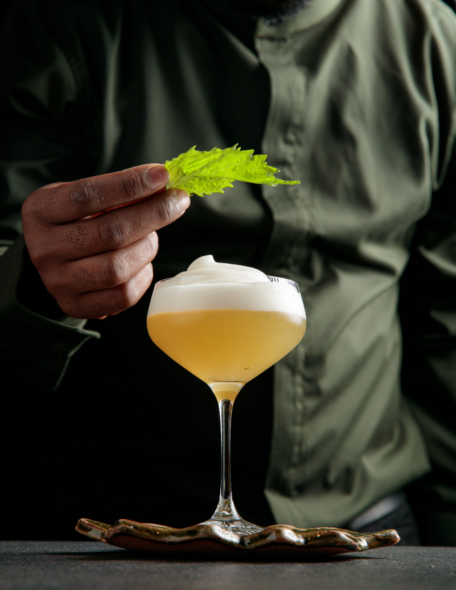 Leaf Cocktail Garnish Bruce Tuck