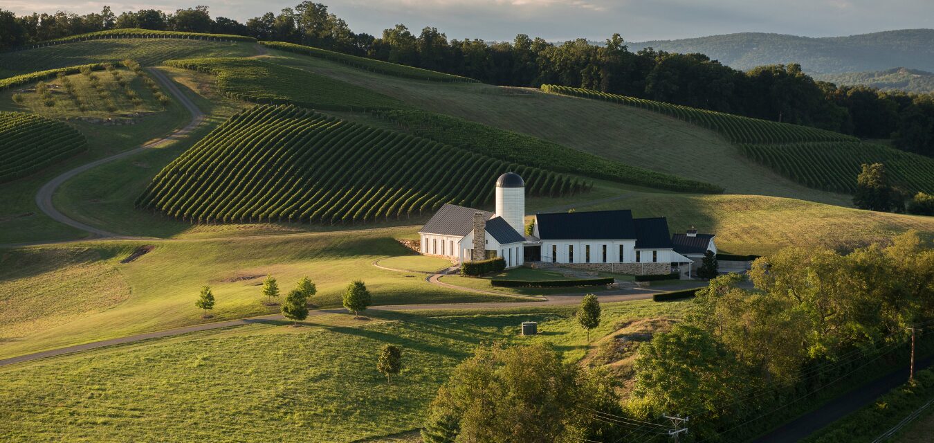 RdV Vineyards Credit Jeff Mauritzen jpg