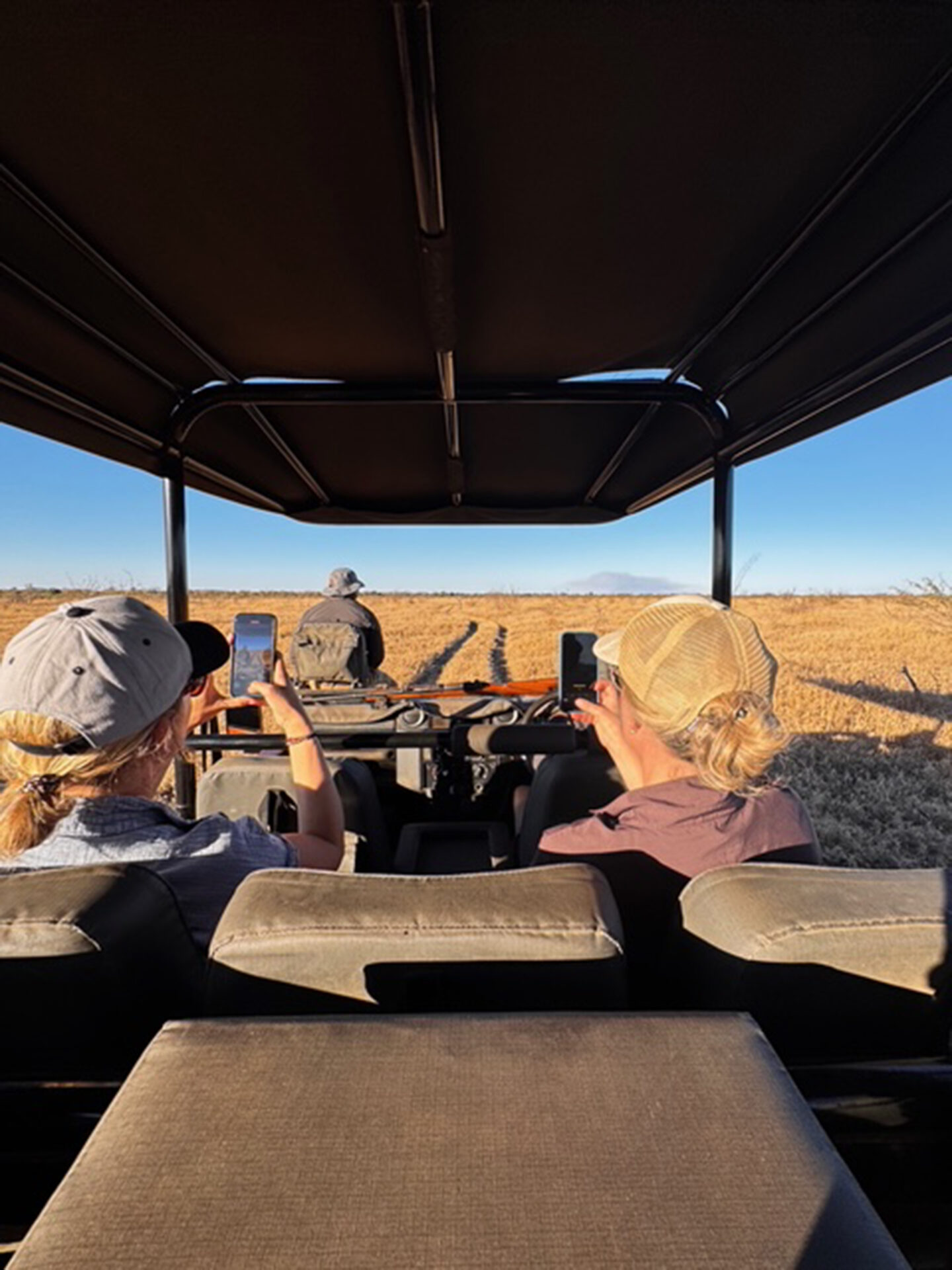 South Africa Safari