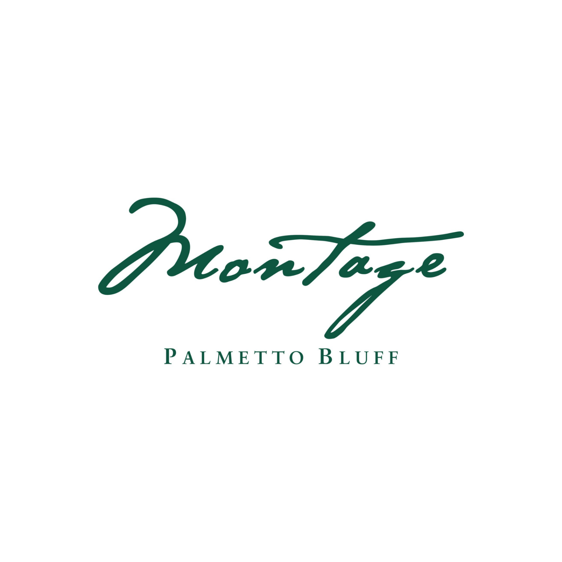 montage logo