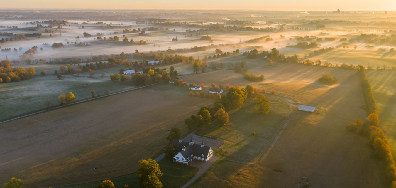 Fall Arial Bluegrass Lexington Backdrop SRGB