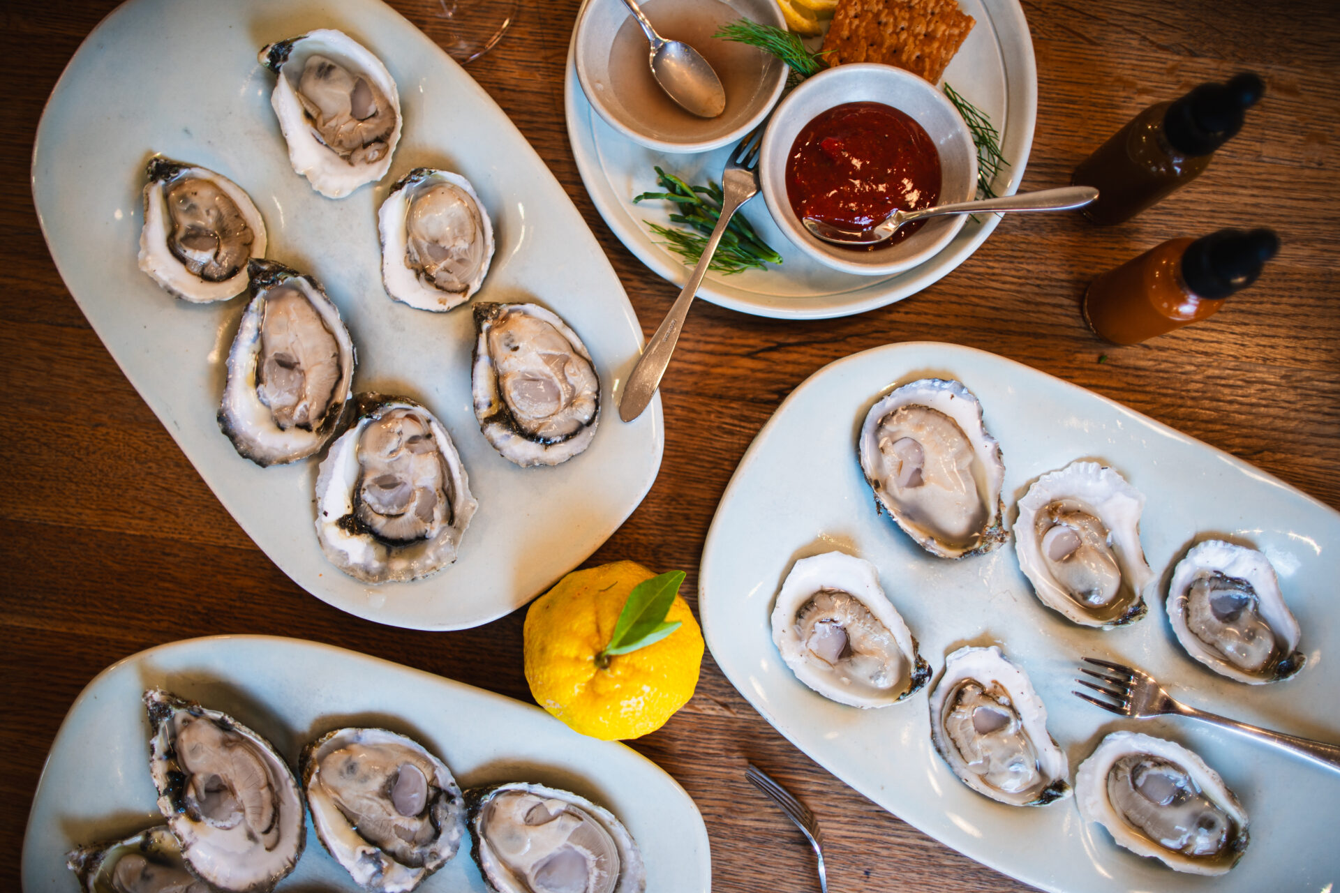 Oysters at seabird