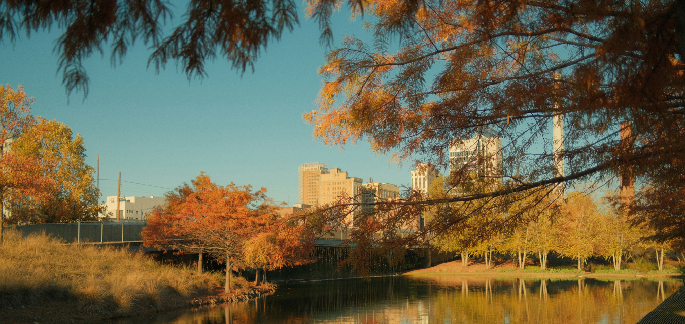 birmingham in the fall nish gupta unsplash