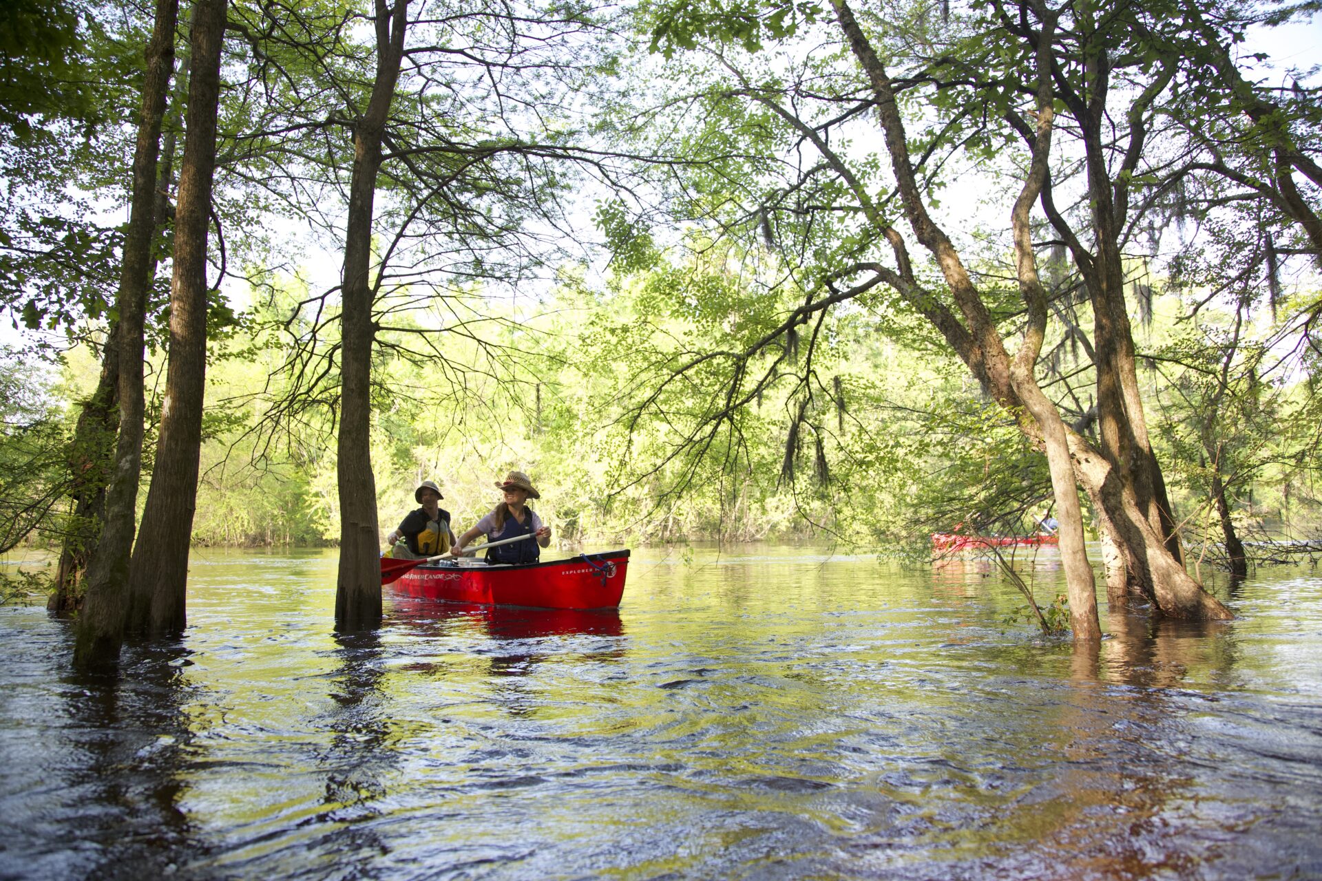 canoe ride to treehouse edisto river
