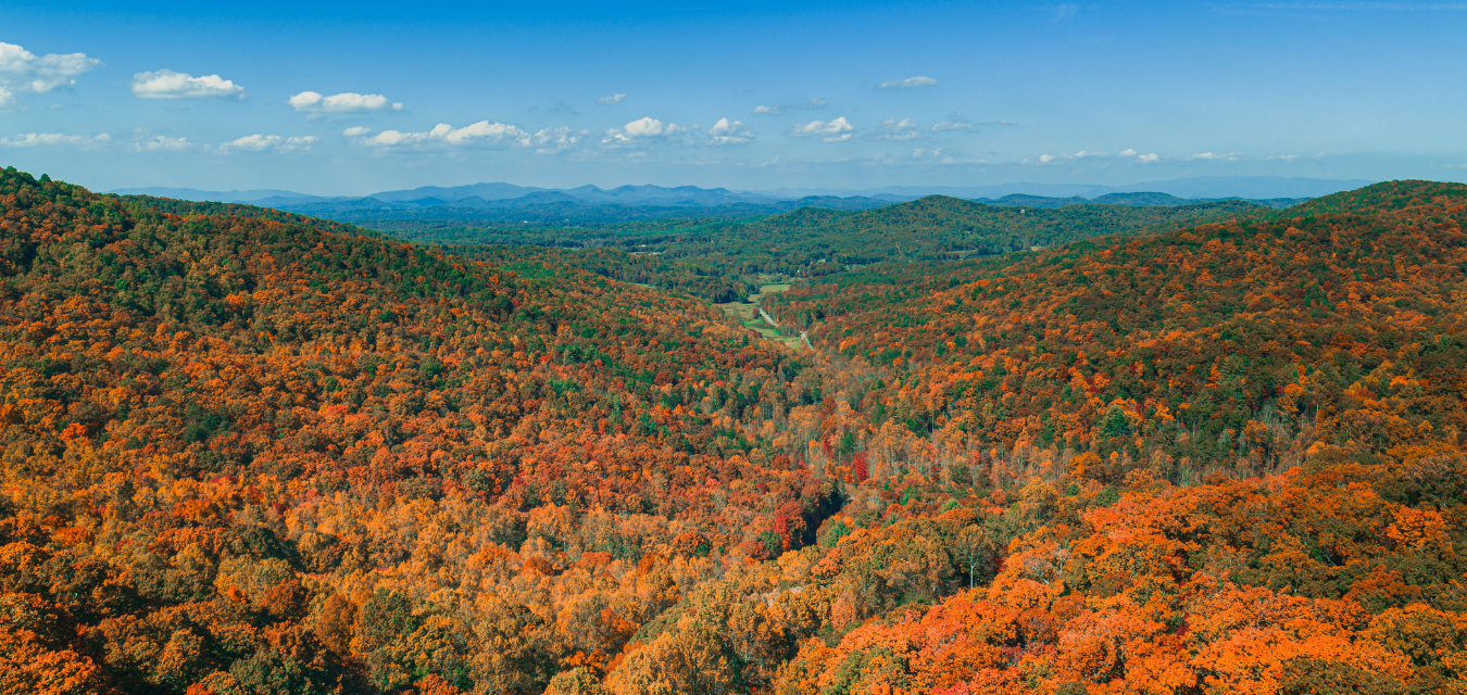 fall in blue ridge georgia