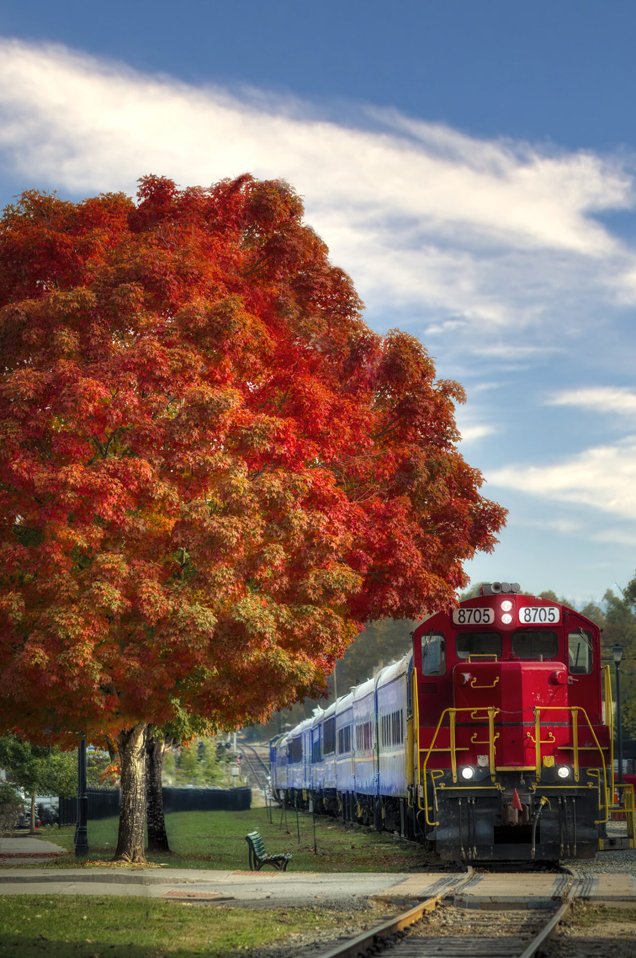 fall train and tree blue ridge georgia