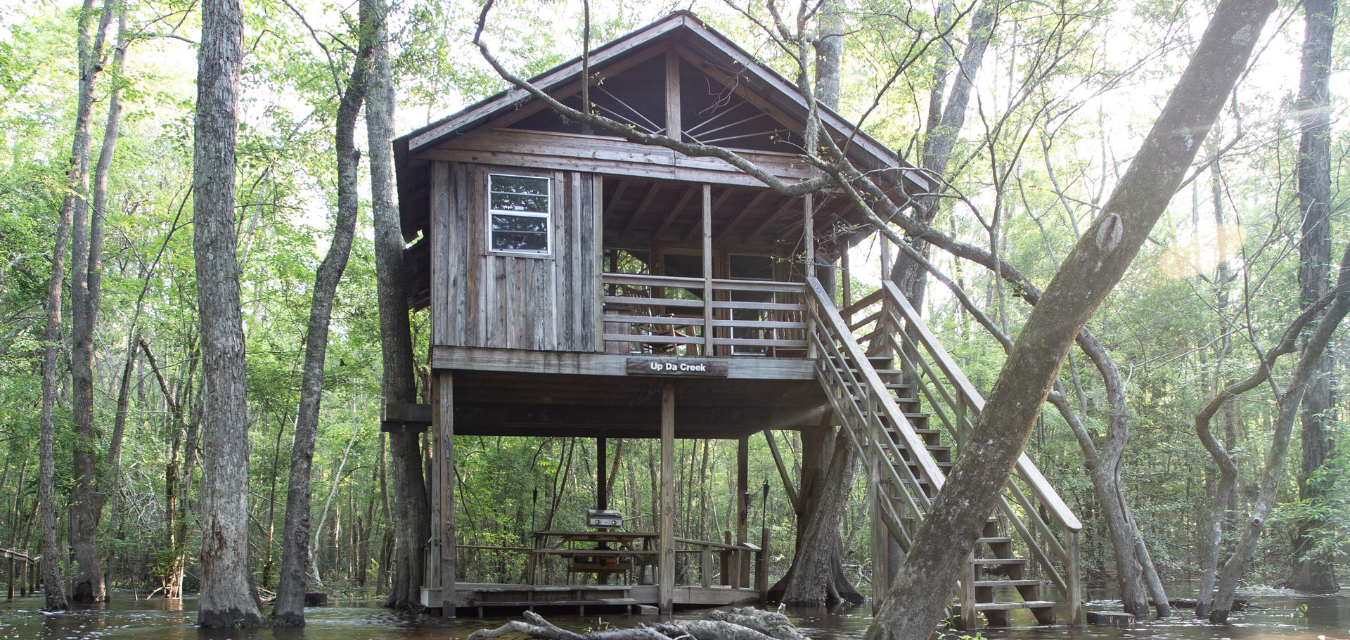 private treehouse edisto